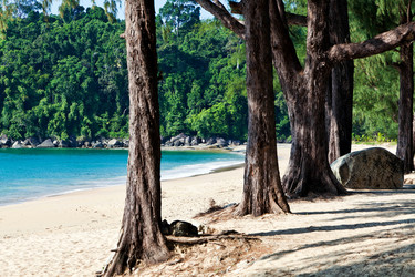 Similar image 1017703