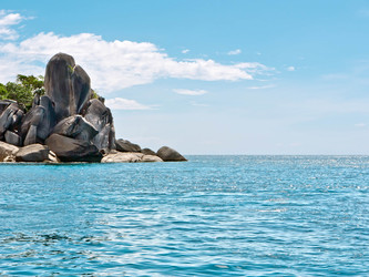 Similar image 1017722