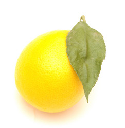 Similar image 1017745