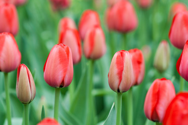 Similar image 1017746