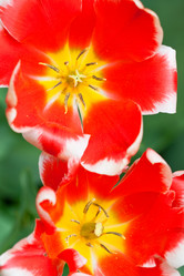 Similar image 1017753