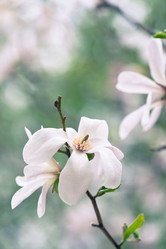 Similar image 1017759