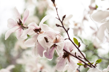 Similar image 1017760