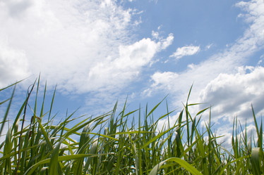 Similar image 1017761