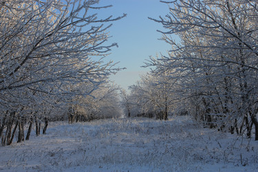 Similar image 1017762