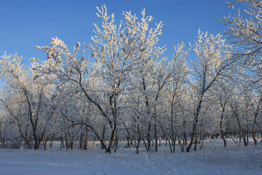 Similar image 1017765