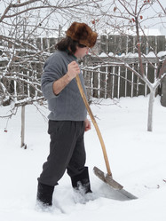 Similar image 1017784