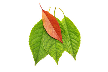 Similar image 1017808