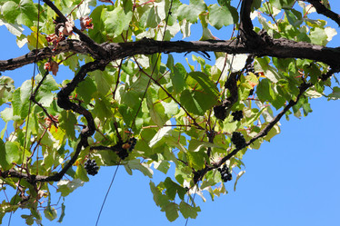 Similar image 1017826