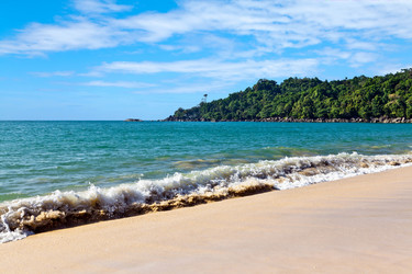 Similar image 1017832