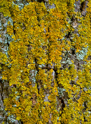 Similar image 1017882