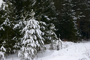 Similar image 1017884