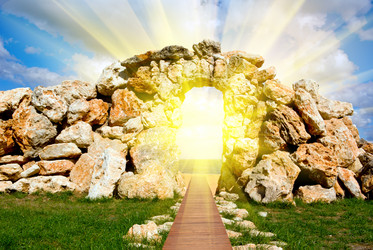 Similar image 1017889