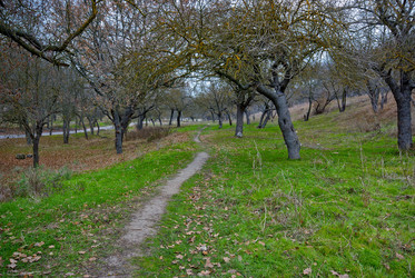 Similar image 1017895