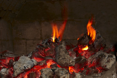 Similar image 1017896