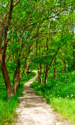 Similar image 1017898