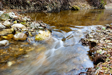 Similar image 1017905