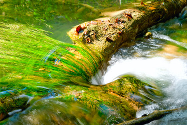 Similar image 1017906