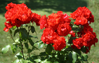 Similar image 1017915