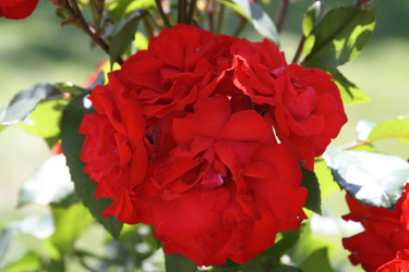 Similar image 1017921