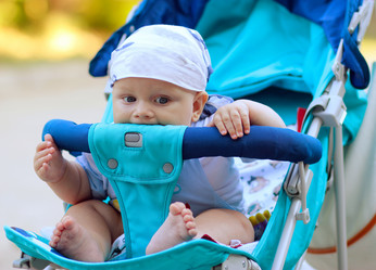 Similar image 1017932