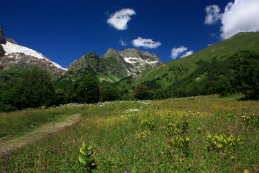 Similar image 1017944