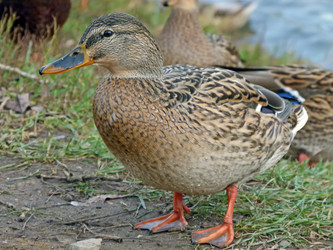 Similar image 1017950