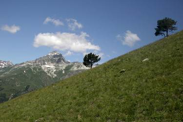 Similar image 1017962