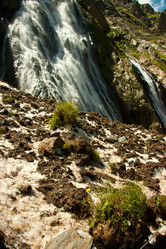 Similar image 1017966