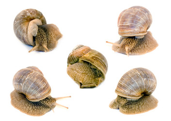 Similar image 1017991