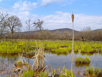 Similar image 1018000