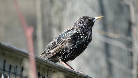 Similar image 1018013