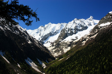 Similar image 1018026