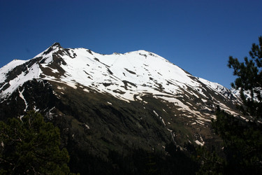 Similar image 1018033