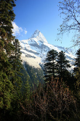 Similar image 1018046