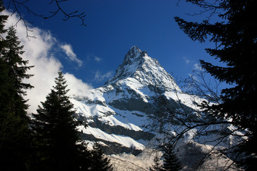 Similar image 1018049