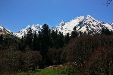 Similar image 1018067