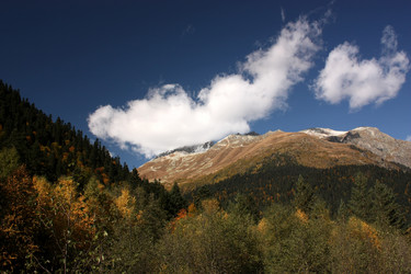 Similar image 1018069