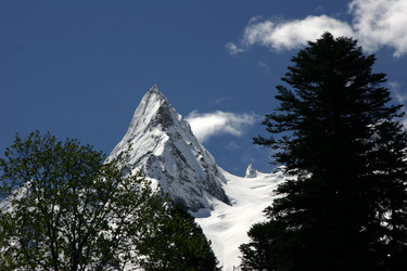 Similar image 1018081