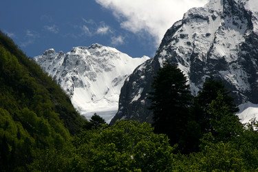 Similar image 1018083