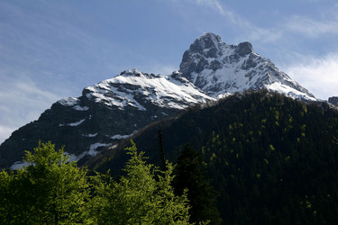 Similar image 1018086