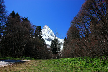 Similar image 1018111