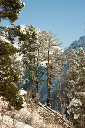 Similar image 1018113