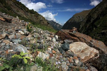 Similar image 1018114