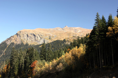 Similar image 1018116