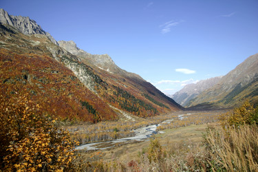 Similar image 1018118