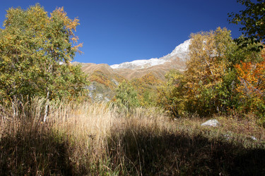 Similar image 1018119