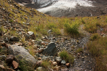 Similar image 1018124