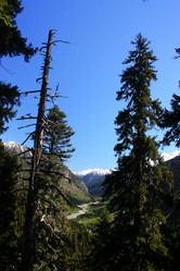 Similar image 1018137