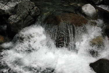 Similar image 1018182